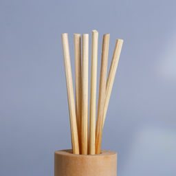 Диффузор ароматический палочки «Новогодняя коллекция: Зимняя сказка рядом», аромат мандарина, 30 мл.