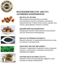 Planeta Organica / Organic argana / Шампунь для волос, 280 мл  фото 2