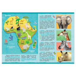 Цена за 2 шт. Книжка с наклейками «Животные нашей планеты», 16 стр.