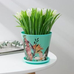 Цена за 2 шт. Горшок для цветов Доляна «Тропический лес», 800 мл, цвет зелёный