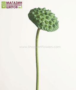 197	Коробочка лотоса искусственная