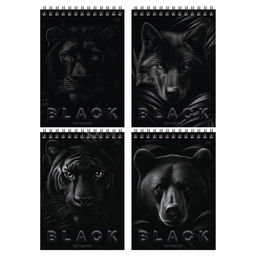 Цена за 2 шт. Блокнот А5 40л. на гребне "Just black" ("BG", Б5гр40 07048)