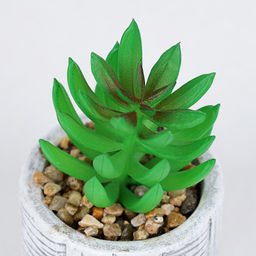 Цветочная композиция Кактус / WER-22 /уп 12/192/ микс - Галеонтрейд фото 11