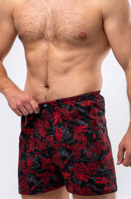 Мужские трусы с принтом дракон Happy Fox