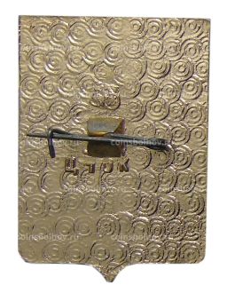 Значок Владимир