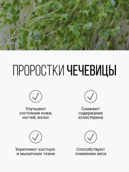 Смесь из семи видов проростков 200г (пшеница, полба, спельта, рожь, овес, чечевица, зеленая гречка)