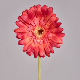 ЦВЕТОК ИСКУССТВЕННЫЙ ГЕРБЕРА ВЫСОТА=61СМ.