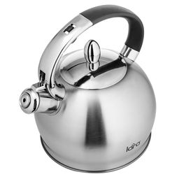 Чайник LARA (матовый) 3,1л, индукционное дно 0.5мм, хромированная оцинкованная ручка (LR00-10)  фото 3