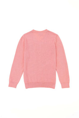 U. S. Polo Assn / Базовый свитер лосося для девочек - U.s. polo assn фото 2