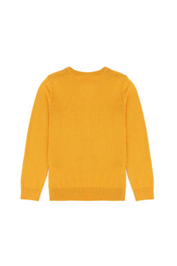 U. S. Polo Assn Базовый свитер горчичного цвета для мальчика - U.s. polo assn фото 5