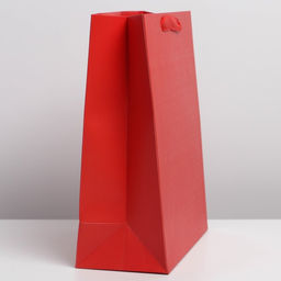 Цена за 2 шт. Пакет подарочный ламинированный, упаковка, «Красный», M 25.5×30×9 см, МИКС