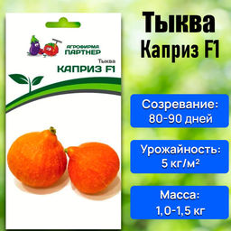 Тыква Каприз - Партнер фото 2