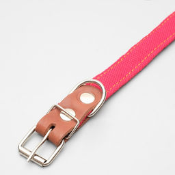 Ошейник брезентовый с подкладом, 57 х 2,5 см, ОШ 35-45 см, красный - Пижон фото 3