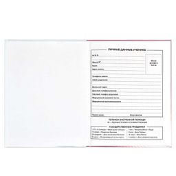 Дневник школьный арт. 60223 КОШКА / интегральный переплёт, А5+, 48 л., выборочный УФ-лак, конгрев, печать по фольге, матовая ламинация, печать в одну краску, универсальная шпаргалка/