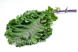 Капуста листовая кудрявая Скарлет - Партнер фото 6