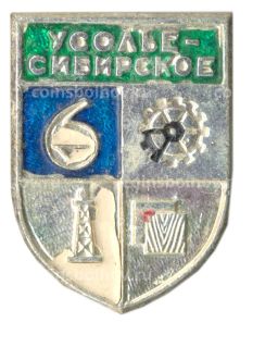 Значок Усолье Сибирское