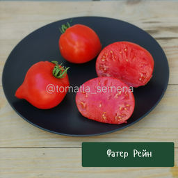 Фатер Рейн - Tomatia фото 2