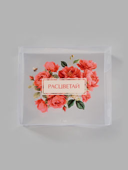 Коробка подарочная пластиковая с тишью и гирляндой «Расцветай», 20×18×5 см