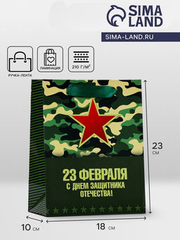 Цена за 2 шт. Пакет подарочный ламинированный вертикальный «23 февраля», 18×23×10 см