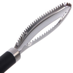 Цена за 2 шт. Рыбочистка металлическая "Royal cuisine" 23см