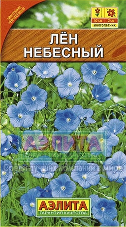 Лен Многолетний Небесный 0,5г (Аэлита)