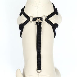 Комплект с мягкой шлейкойи бантиком Клетка, L, поводок 120 x 1,5 см, ОГ 35-50 см, чёрный 96837 - Пижон фото 7