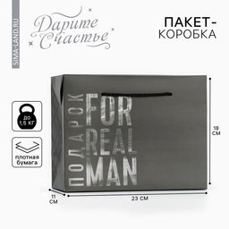 Цена за 2 шт. Пакет—коробка, подарочная упаковка, «Подарок», 23×18×11 см