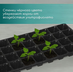 Цена за 2 шт. Кассета для рассады, на 32 ячейки, по 110 мл, пластиковая, чёрная, 53.5×27×5.5 см, Greengo