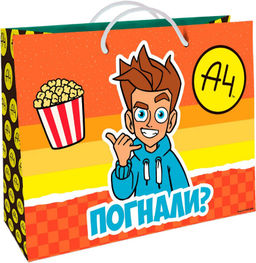 ND Play. Пакет подарочный большой "Влад А4 " 400х300х140 мм арт.313904