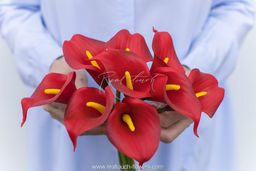 Букет калл 9 штук - Красный