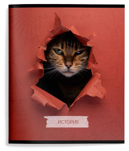 Цена за 2 шт. Тетрадь 48 л. А5 клетка, на скрепке, Schoolformat ЛЮБОПЫТНЫЙ КОТИК История мелованный карт...