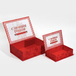 Набор коробка - книга 2 в 1 «Best wishes for you», 20 х 12,5 х 5 - 27 х 19,5 х 8 см, Новый год