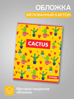 Комплект тетрадей из 5 шт Кактус, 48 листов, в клетку, обложка мелованный картон, блок офсет - Calligrata фото 3