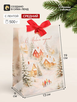 Цена за 3 шт. Пакет подарочный с лентой «С Новым годом», зимняя деревушка, 13×19×9 см