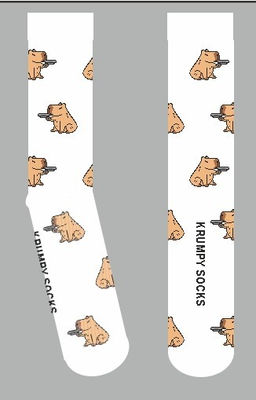 Носки р.40-45 TxT Капибара - Krumpy фото 10