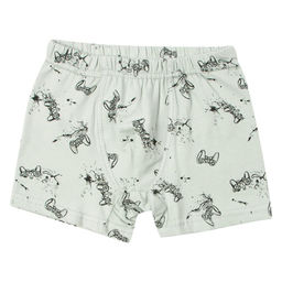 Трусы боксеры Donella для мальчика