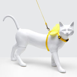 Комплект амуниции Ангел, размер S, шлейка 20-34 см, поводок 120 х 1 см, жёлтый - Пижон фото 4