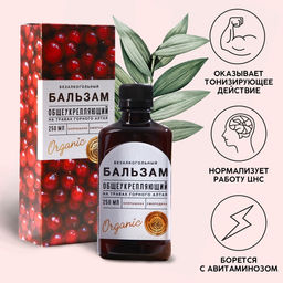 Бальзам безалкогольный на травах Общеукрепляющий: смородина, мумие, в пластиковой бутылке, 250 мл