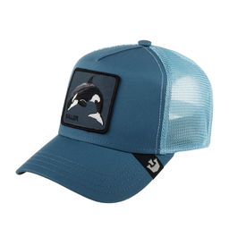 Бейсболка GOORIN BROTHERS арт. 101-1343 (голубой)