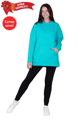 Свитшот Юность Х-379 (36-56) футер 3-х нитка с начесом