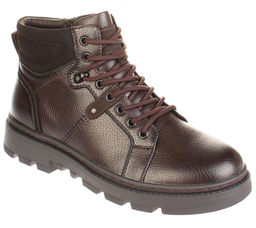 Дерби Baden ZW099-021