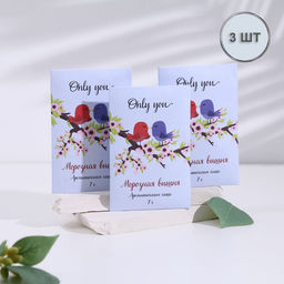 Аромасаше Only you, набор 3 шт, морозная вишня, вес 7 г, размер 7х10,5 см