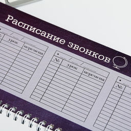 Планинг прямоугольный тонкий картон Лучший учитель, 50 листов