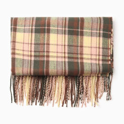 Палантин женский, цвет коричневый, размер 70х180 см - Rossini фото 3