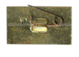 Значок Ясная Поляна