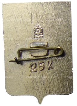 Значок Кировск