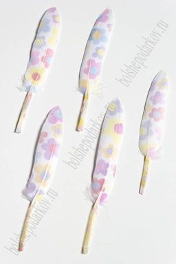 Перья декоративные 15*2,2 см (10 шт) Ромашки разноцветные