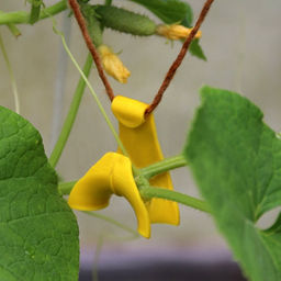 Подвес для растений пластмассовый 6х3х1,2см, набор 10шт (Россия) - Домашняя Мода фото 2