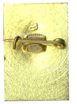 Значок Петродворец