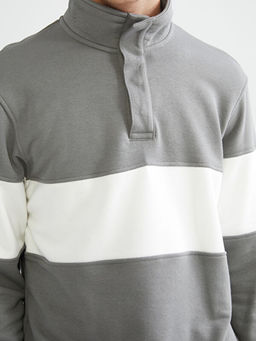 Dik Yaka Erkek Sweatshirt